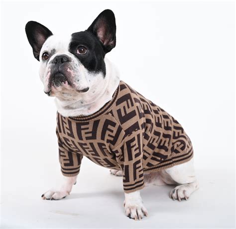 french bulldog clothes for humans|designer clothes for french bulldogs.